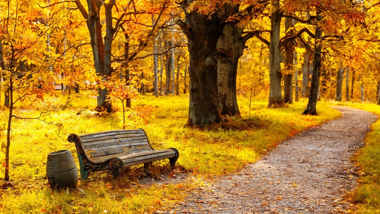 Journal 16 A Trite Metaphor Image